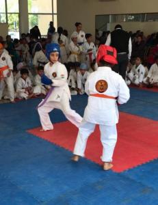 Additional activities